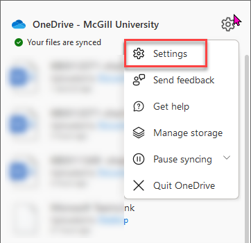 screenshot showing settings option