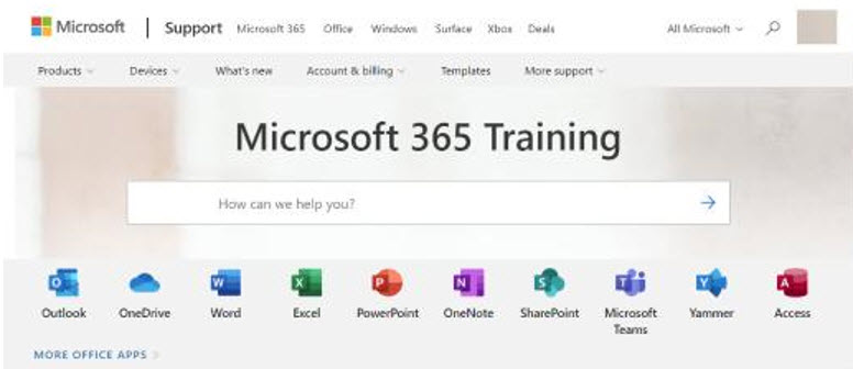 Microsoft 365 training