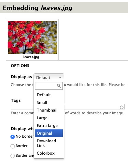 Image Display As options